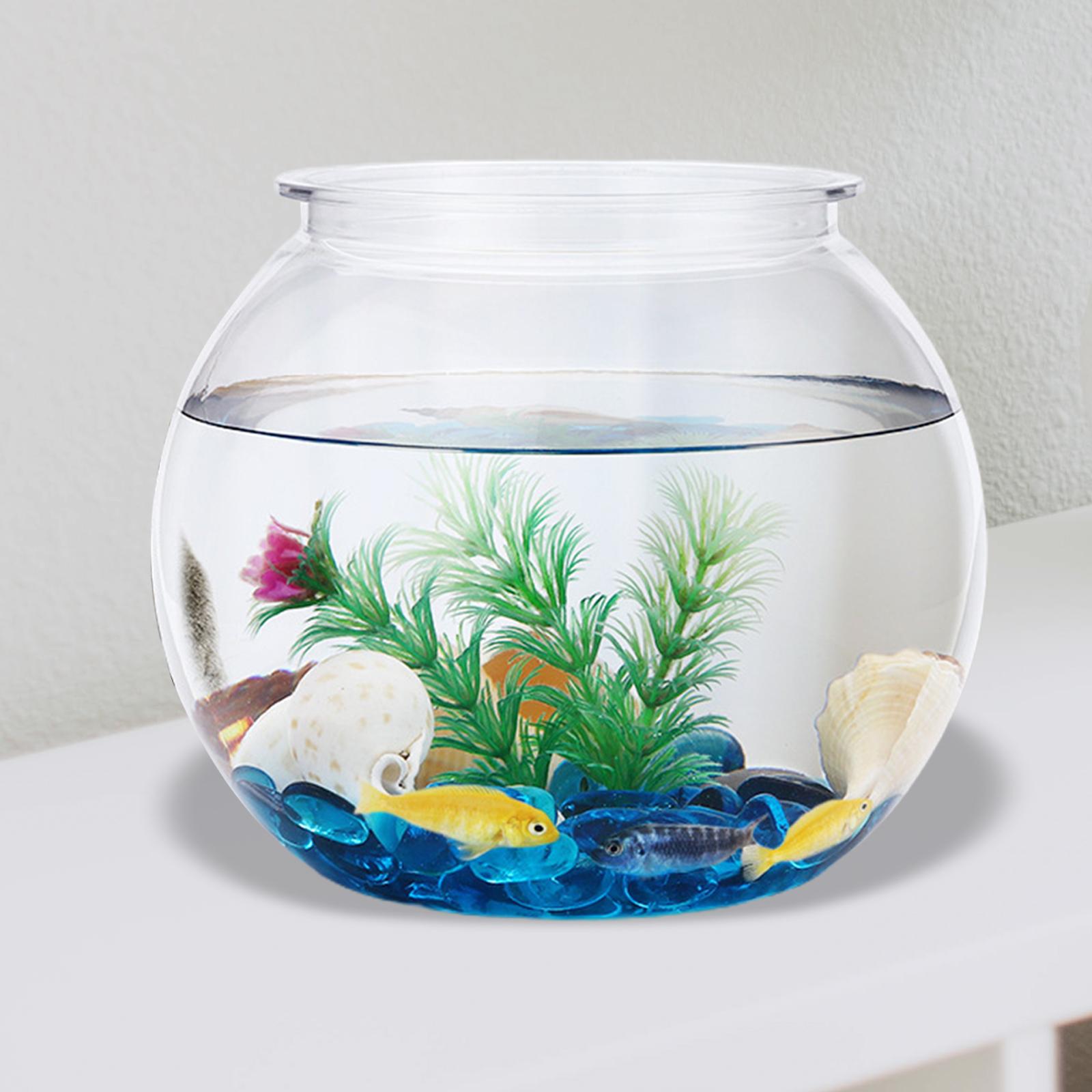 Planted Aquarium Bowl - Trasparente piccolo acquario decorativo fai da