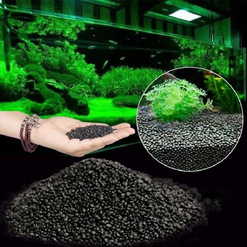 Planted Aquarium With Sand - Acquario Acqua Erba Fango Pianta Seme