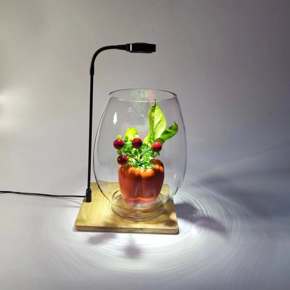 Aquarium Plant On Wood - Lampada di riempimento per piante da