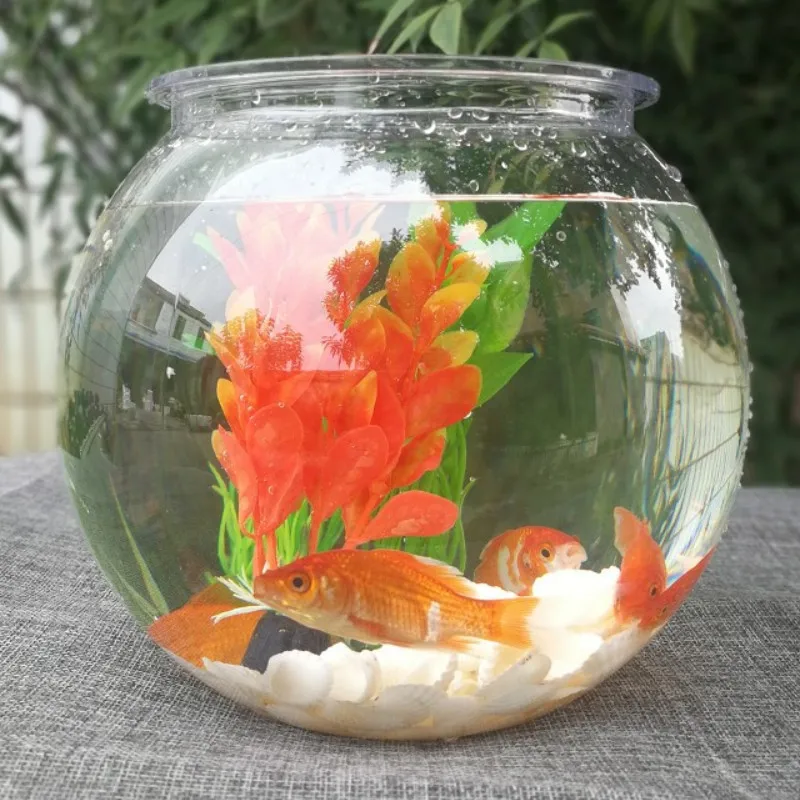 Planted Aquarium Bowl - Pesci rossi ciotola desktop di plastica