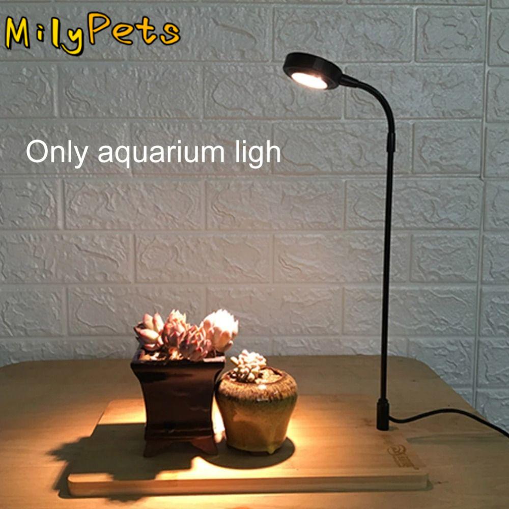 Aquarium Plant On Wood - Lampada di riempimento per piante d'acquario