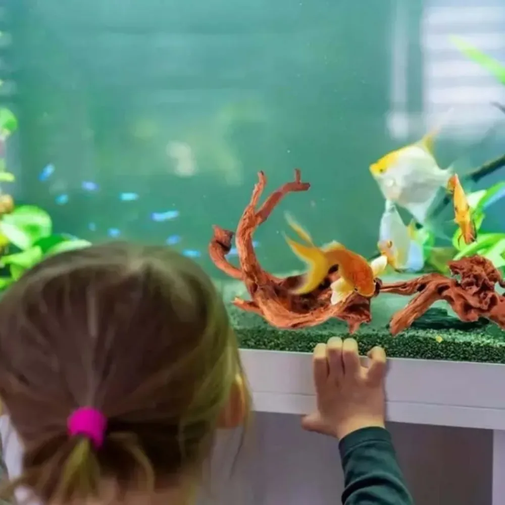 Planted Aquarium With Driftwood - Nuovo Tronco d'Albero Naturale in Miniatura,
