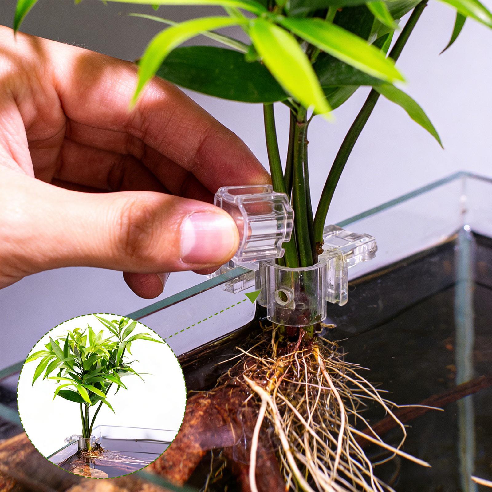 Aquarium Planted Soil - Supporto per Piante d'Acquario, 6 Pezzi,