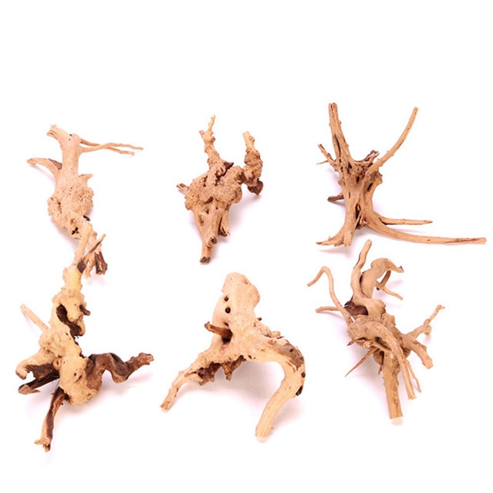 Planted Aquarium With Driftwood - Legno N1N Paesaggistica Acquario Decorazione Rettile