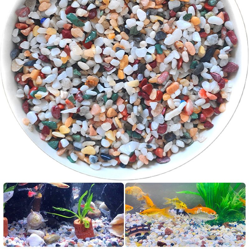 Planted Aquarium With Sand - Pietra di ghiaia naturale 200~1000g per