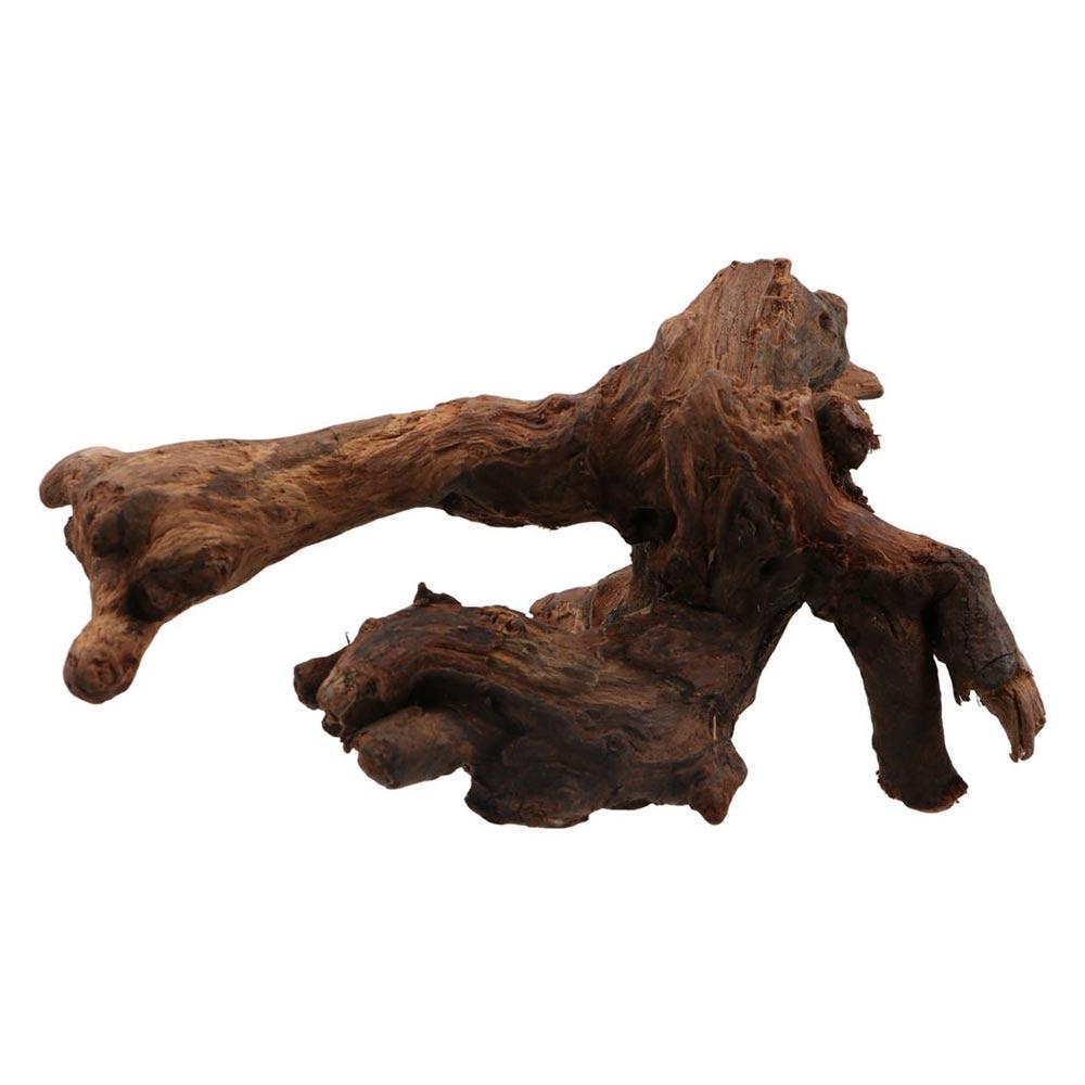 Aquarium Planted Soil - Radici di Pino Naturale a Forma