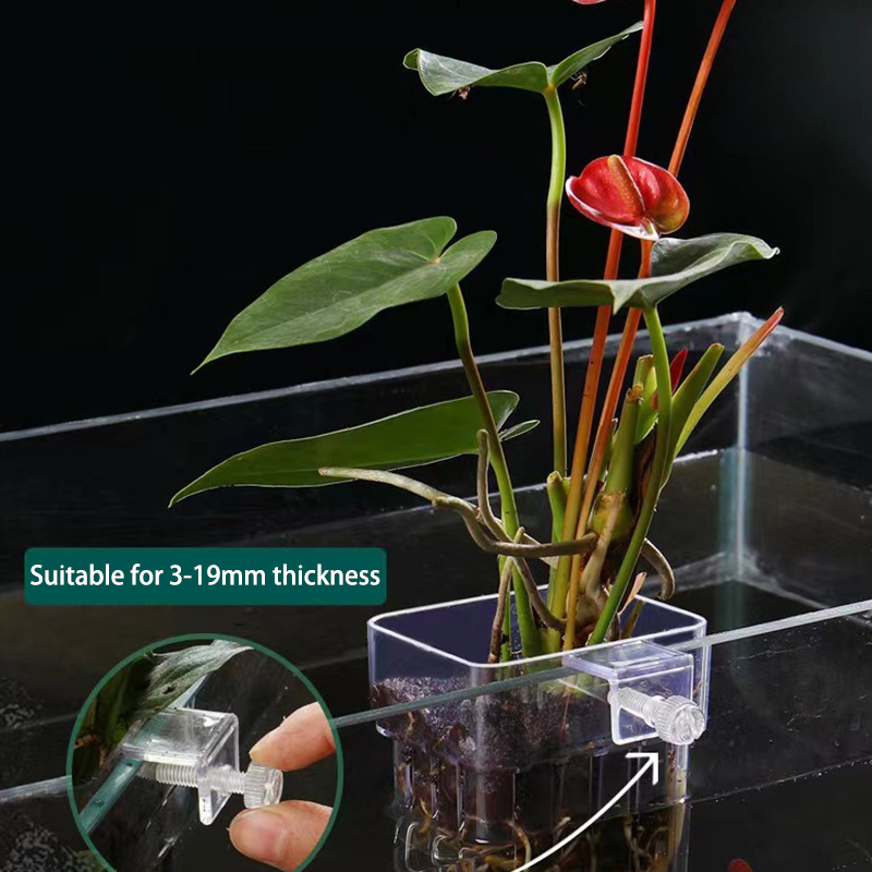 Aquarium Planted Fish - Multifunzionale Fish Aquarium Water Grass Planting