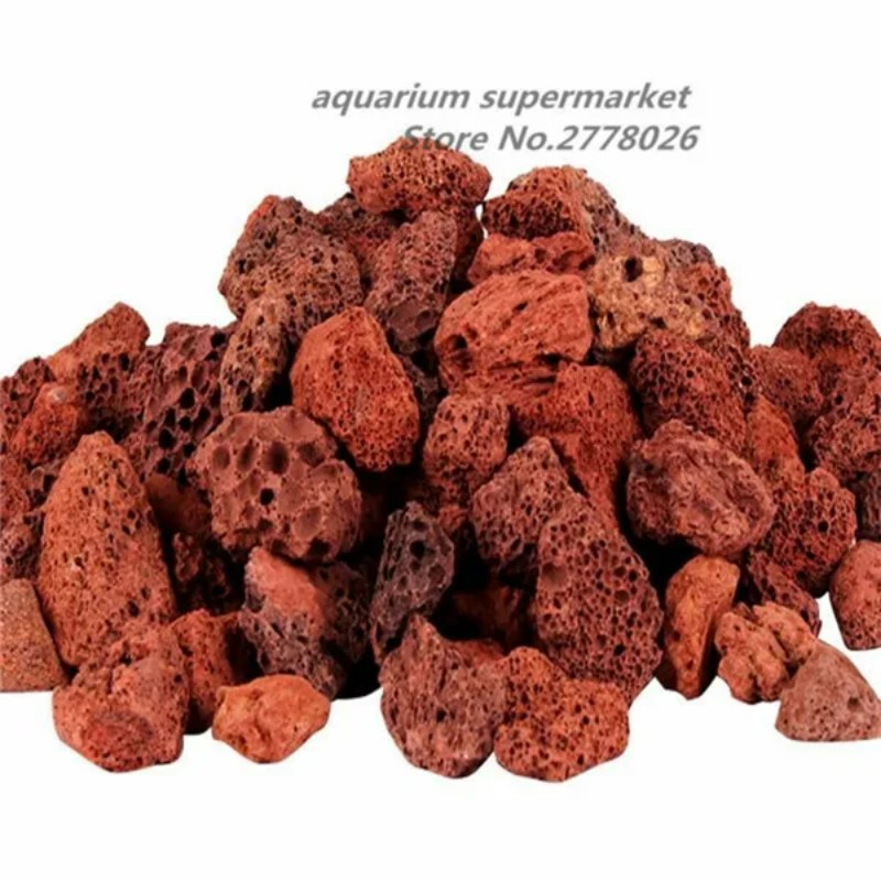 Planted Aquarium With Sand - materiale del filtro dell'acquario acquario paesaggio