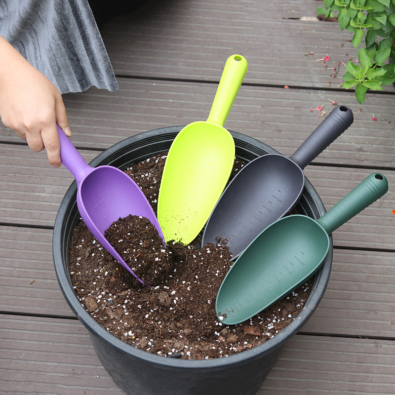 Pala da giardinaggio per balco - Tissue Culture Plant recensione e prezzo