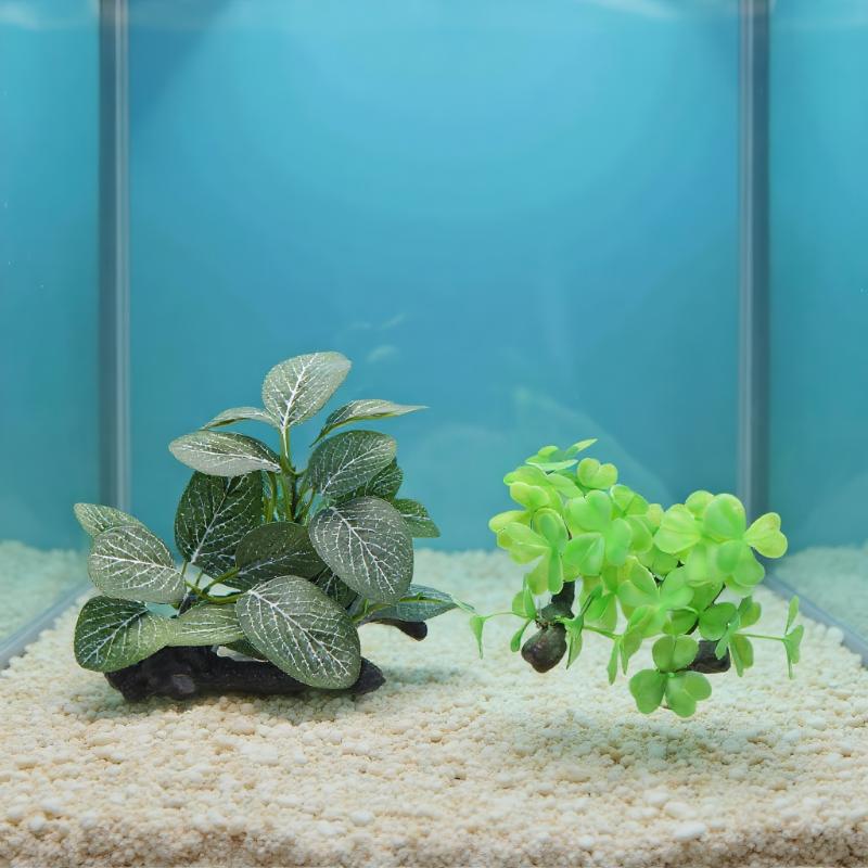 Pianta artificiale in legno fl - Planted Aquarium With Driftwood recensione e prezzo