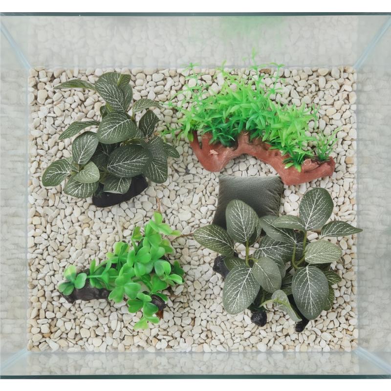 Pianta artificiale in legno fl - Planted Aquarium With Driftwood recensione e prezzo