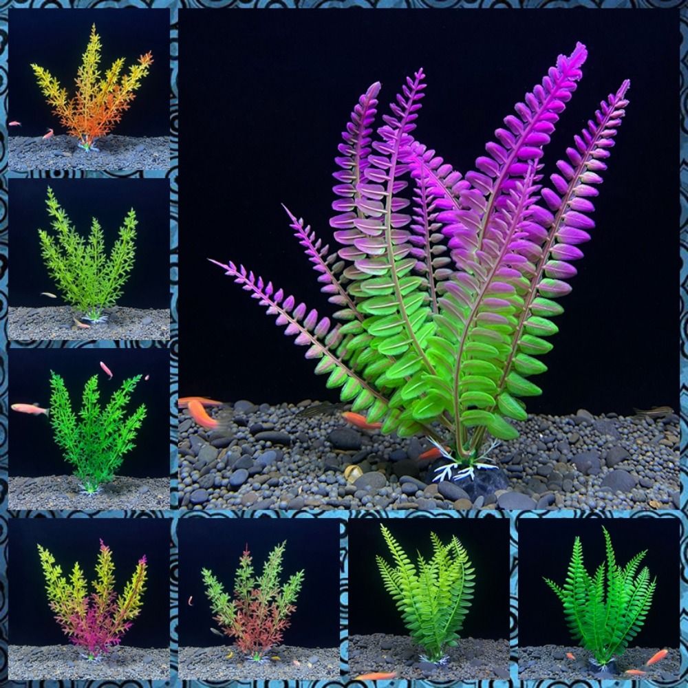 Acquario ornamento pianta acqu - Planted Aquarium Bowl recensione e prezzo