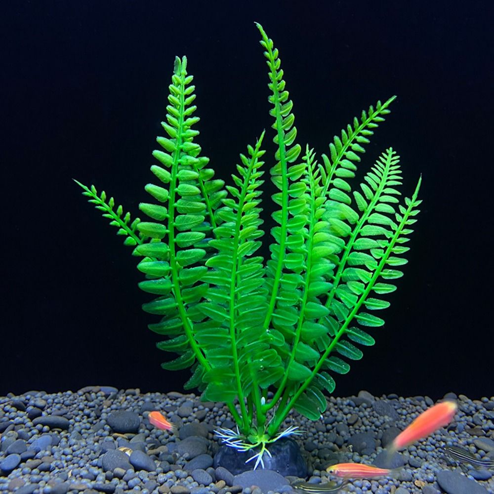 Acquario ornamento pianta acqu - Planted Aquarium Bowl recensione e prezzo