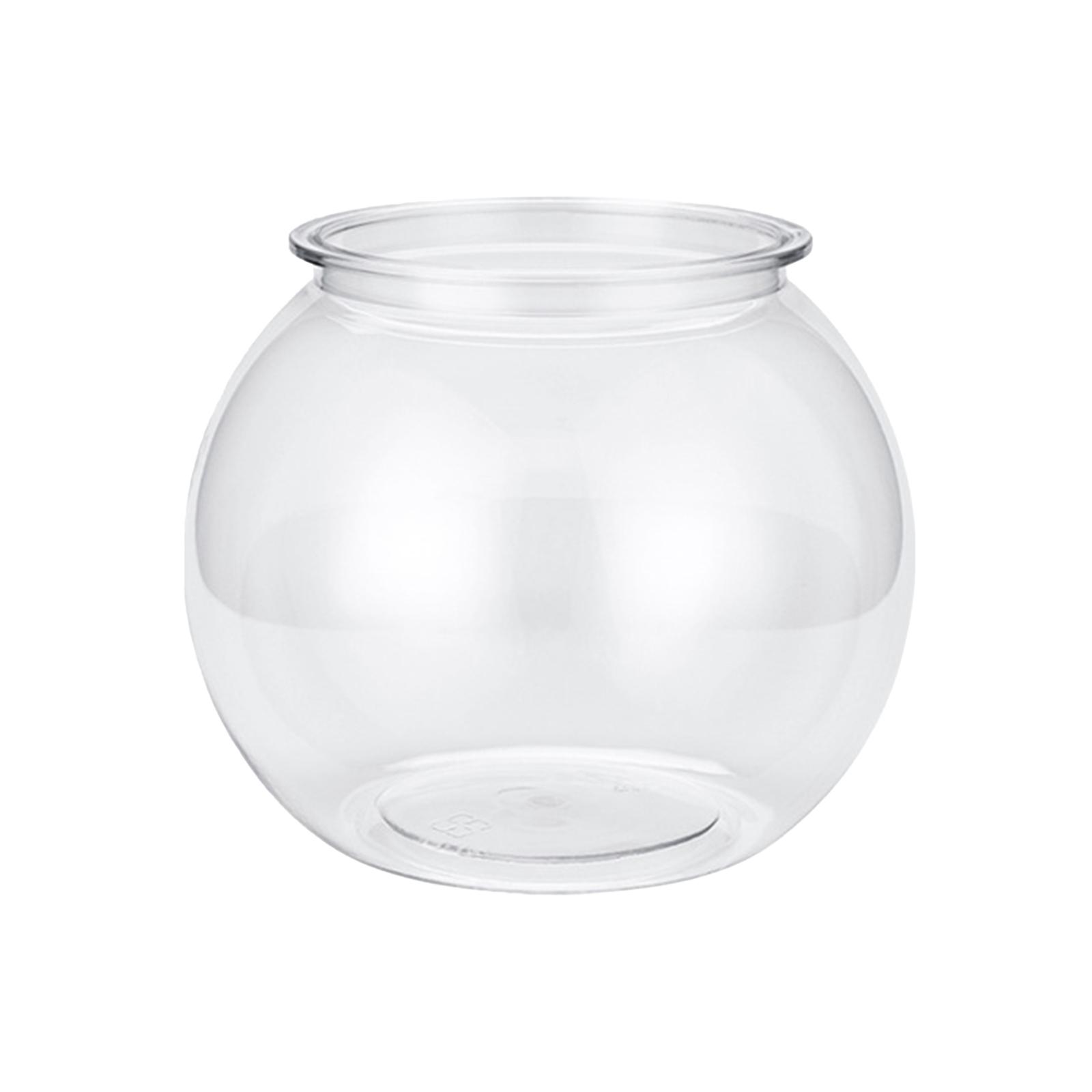 Trasparente piccolo acquario d - Planted Aquarium Bowl recensione e prezzo