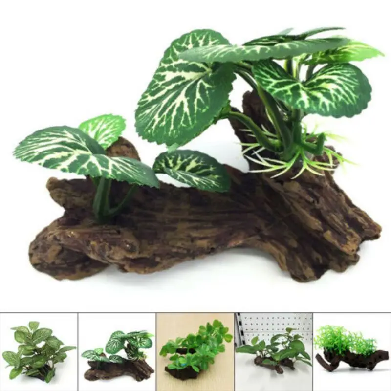Tronco di albero di tartaruga  - Planted Aquarium With Driftwood recensione e prezzo