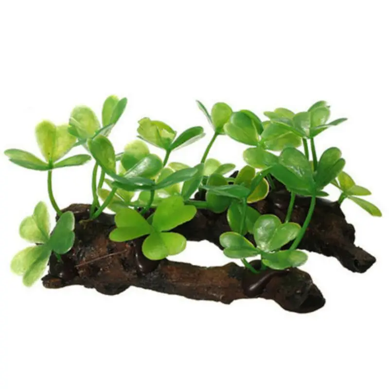 Tronco di albero di tartaruga  - Planted Aquarium With Driftwood recensione e prezzo
