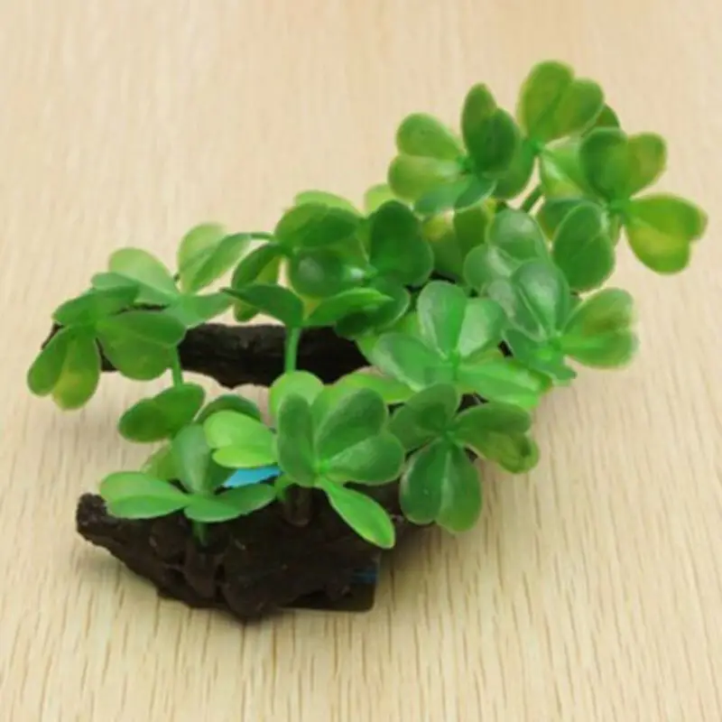 Tronco di albero di tartaruga  - Planted Aquarium With Driftwood recensione e prezzo