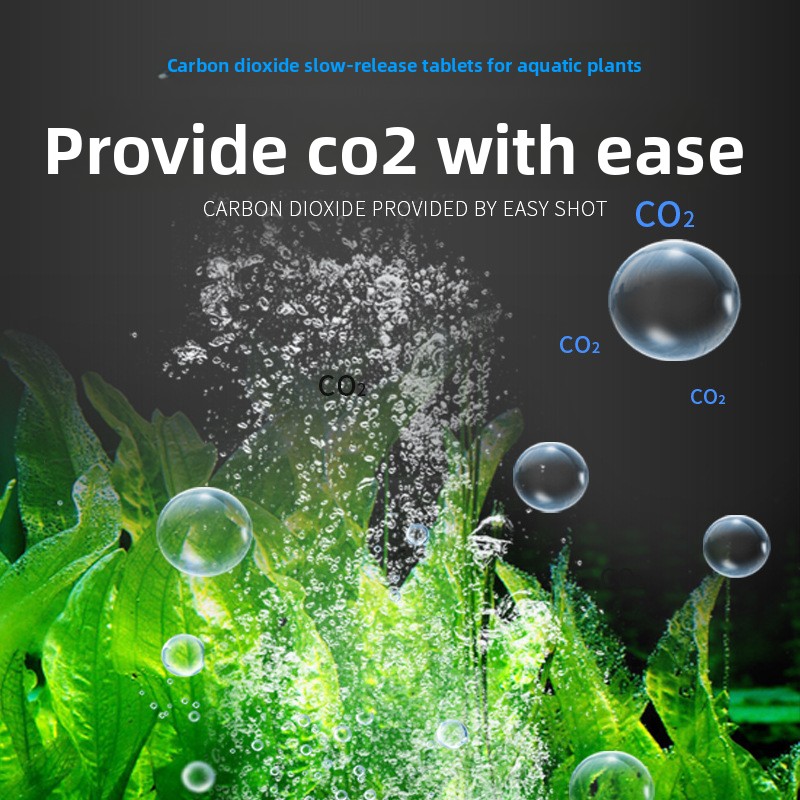 BESSN Acquario CO2 Compresse a - Aquarium Plant Yellowing recensione e prezzo