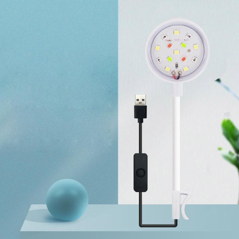 luce del acquario per pesci d' - Planted Aquarium Bowl recensione e prezzo