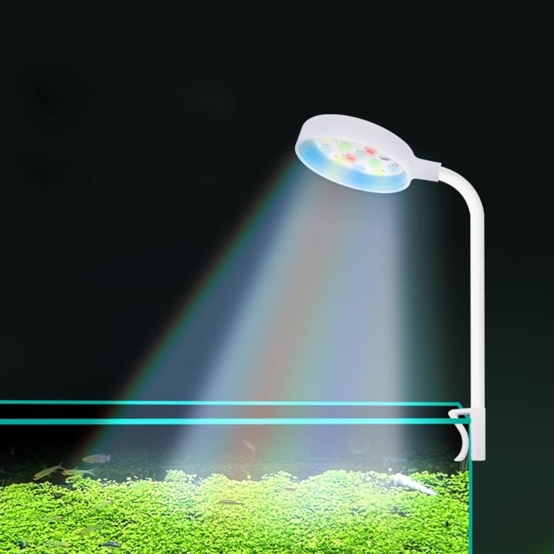 luce del acquario per pesci d' - Planted Aquarium Bowl recensione e prezzo