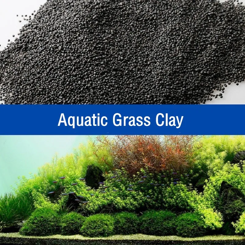 500g Substrato per Acquario, F - Planted Aquarium With Sand recensione e prezzo