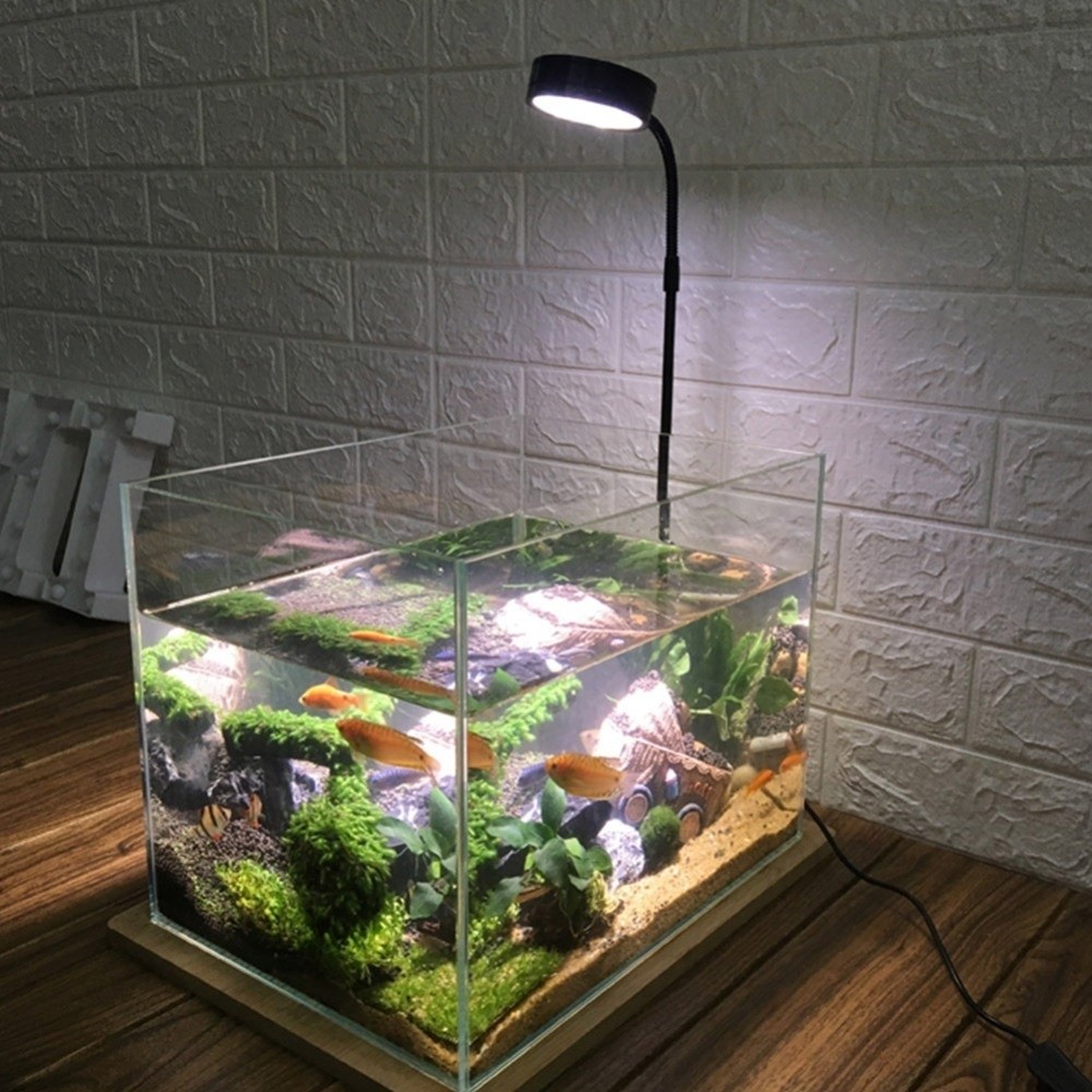 Lampada a LED per acquario da  - Aquarium Plant On Wood recensione e prezzo