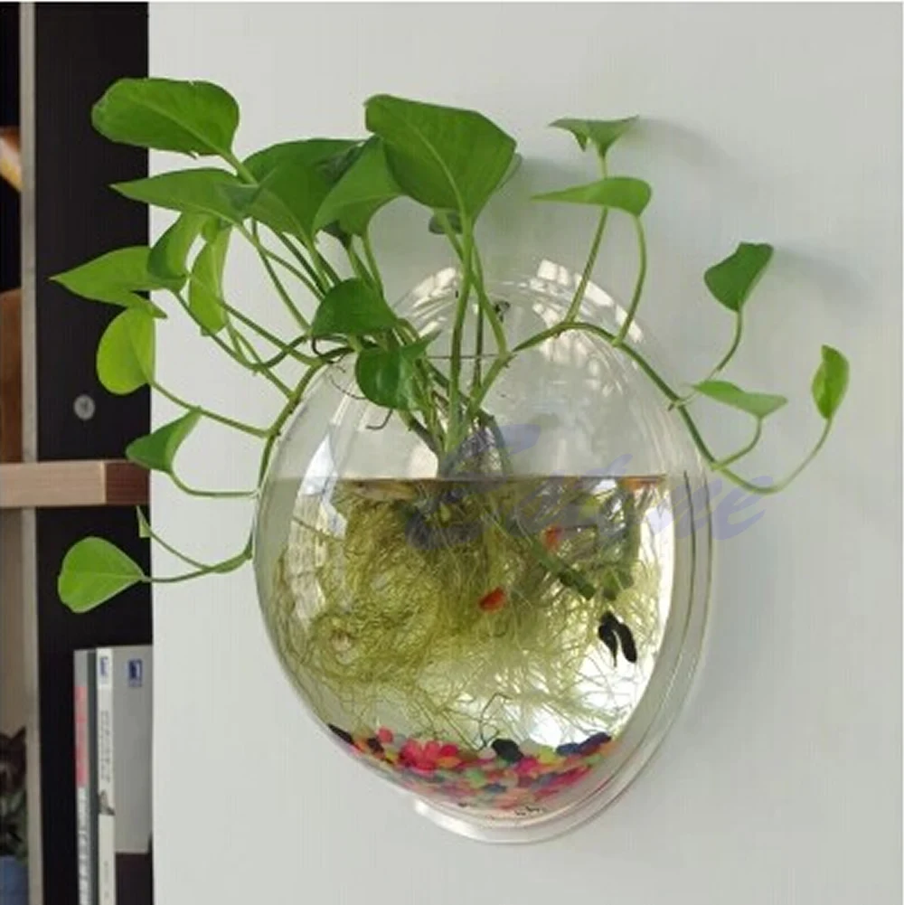 Ciotola per pesci in acrilico  - Planted Aquarium Bowl recensione e prezzo