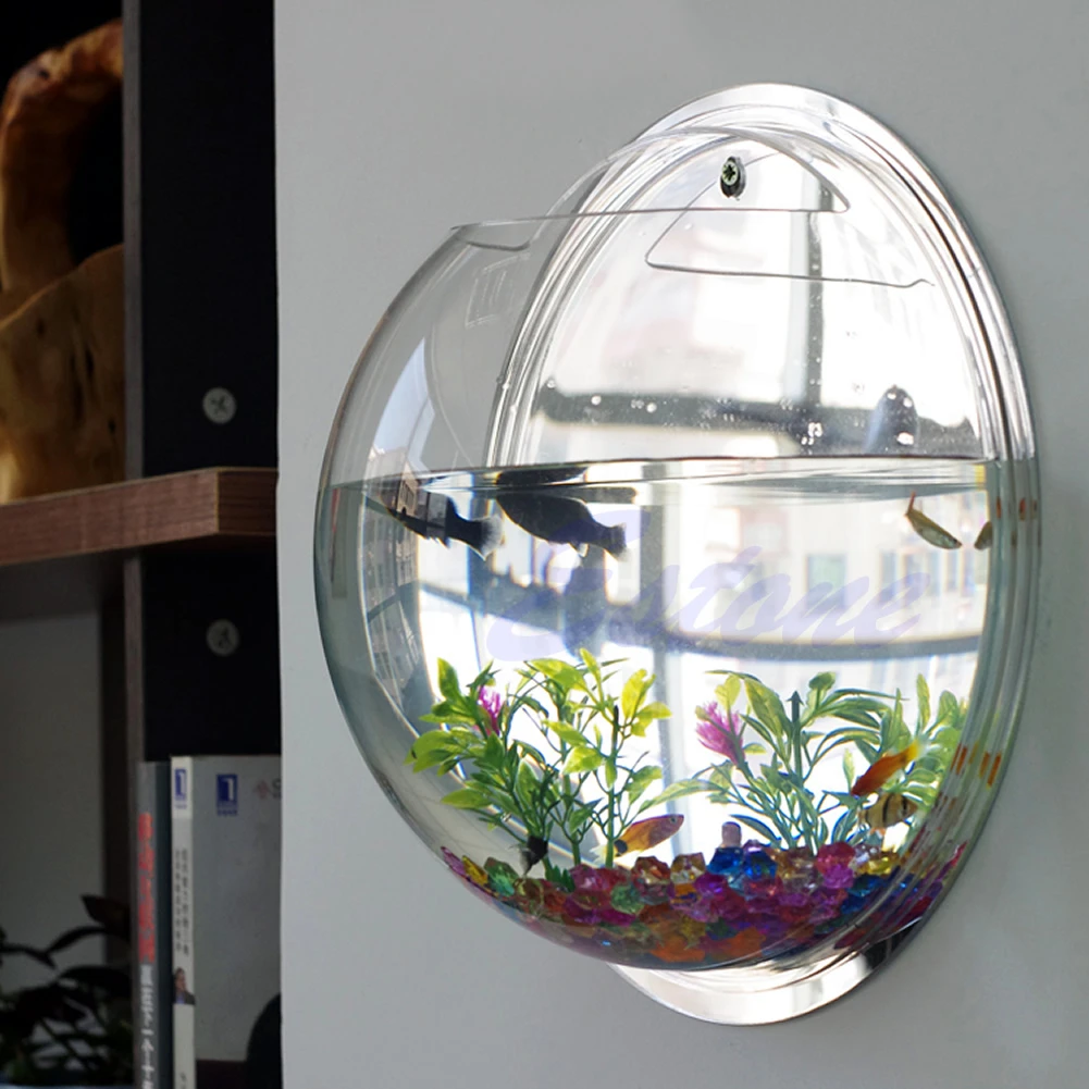 Ciotola per pesci in acrilico  - Planted Aquarium Bowl recensione e prezzo