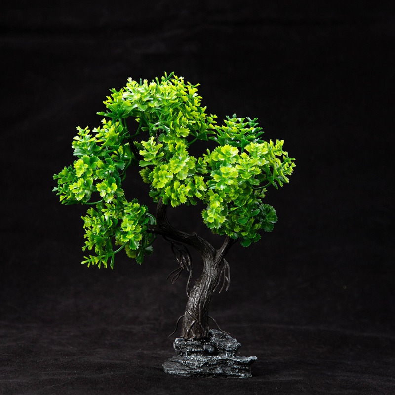 Nuova simulazione muschio albe - Planted Aquarium With Sand recensione e prezzo
