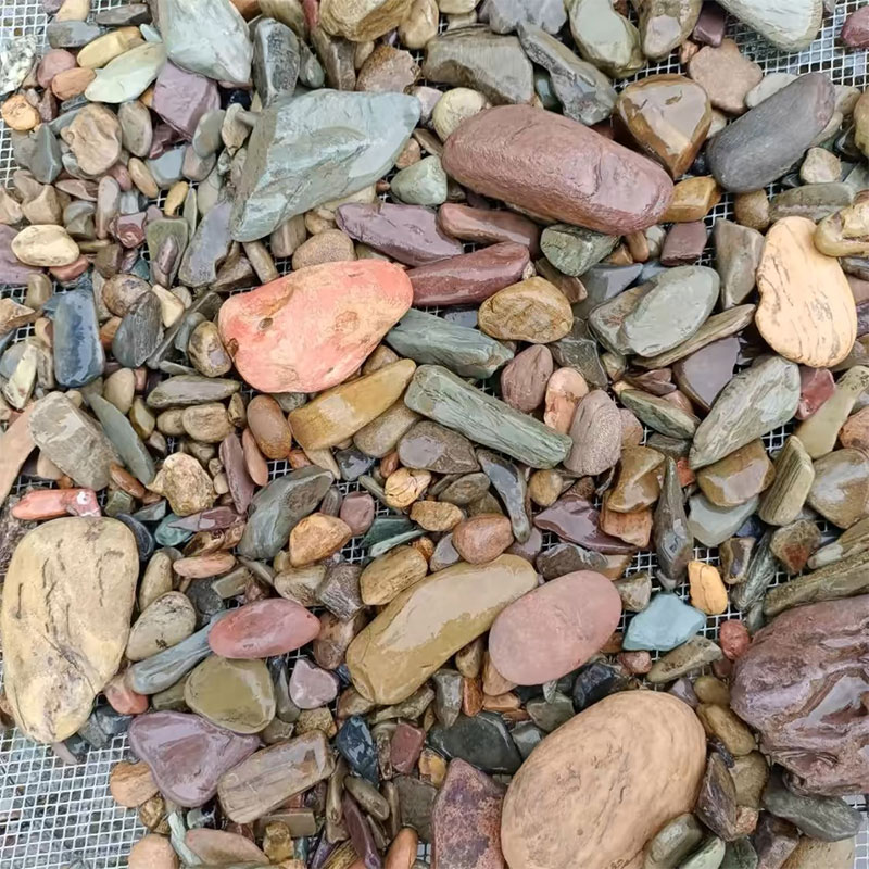 500g fondo acquario pietra di  - Planted Aquarium With Sand recensione e prezzo