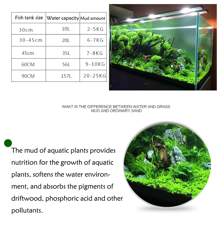 Acquario Acqua Erba Fango Pian - Planted Aquarium With Sand recensione e prezzo