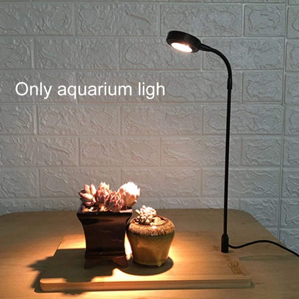 Lampada di riempimento per pia - Aquarium Plant On Wood recensione e prezzo