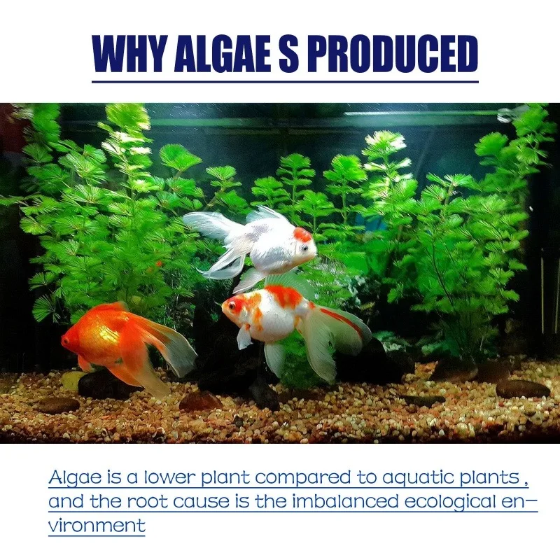 Algaecida ad alta efficienza d - Planted Aquarium Supplies recensione e prezzo