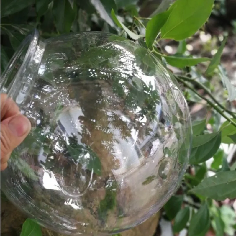 Pesci rossi ciotola desktop di - Planted Aquarium Bowl recensione e prezzo