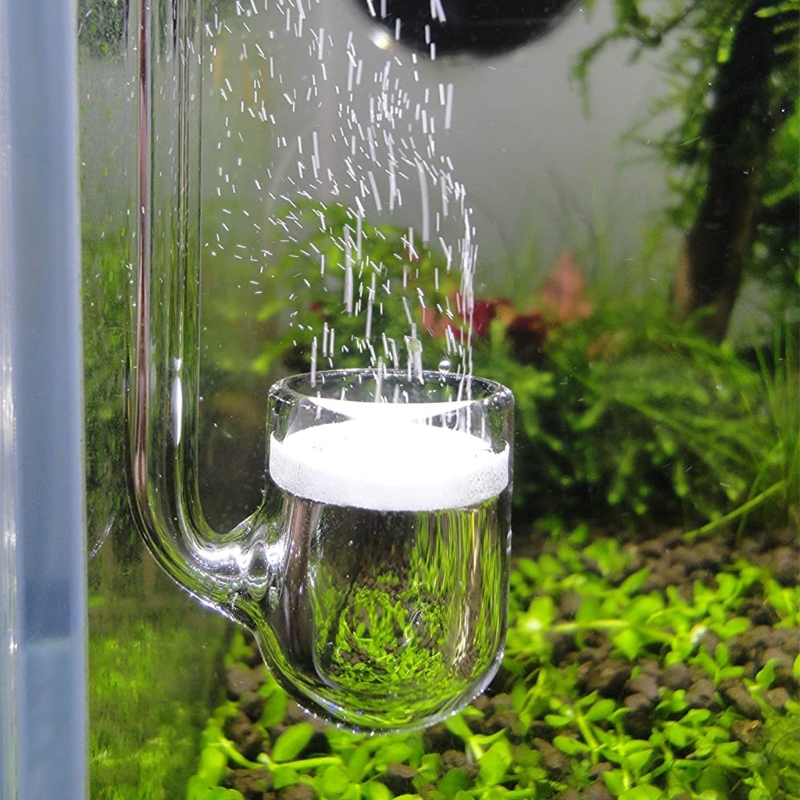 D0AD Diffusore CO2 in vetro pe - Aquarium Plant Design recensione e prezzo