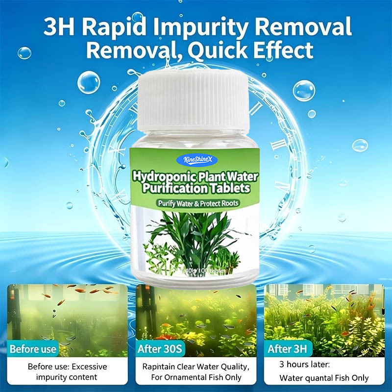 Compresse per la Purificazione - Planted Aquarium Supplies recensione e prezzo