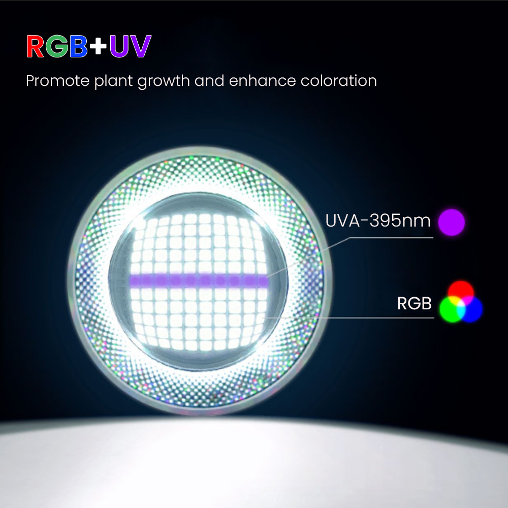 Luce LED per acquario piantato - Aquarium Planted Fish recensione e prezzo