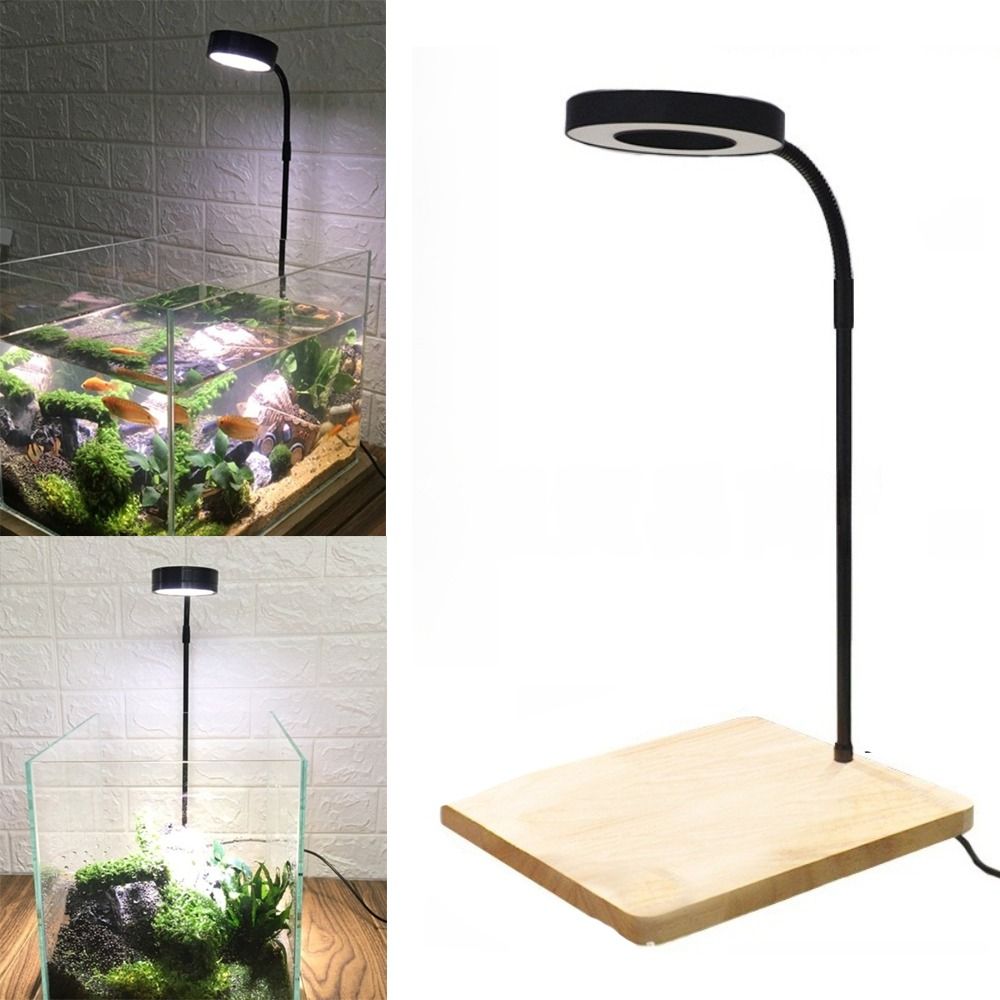 Lampada a LED per acquario da  - Aquarium Plant On Wood recensione e prezzo