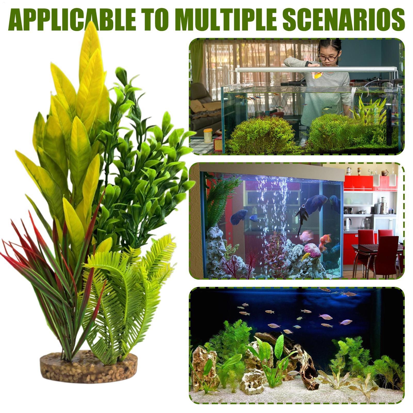 Piante Artificiali per Acquari - Planted Aquarium For Beginners recensione e prezzo