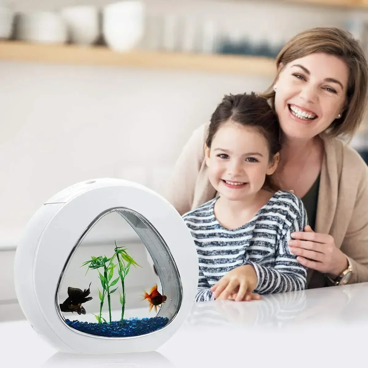 Acquario Betta, acquario con l - Planted Aquarium Bowl recensione e prezzo