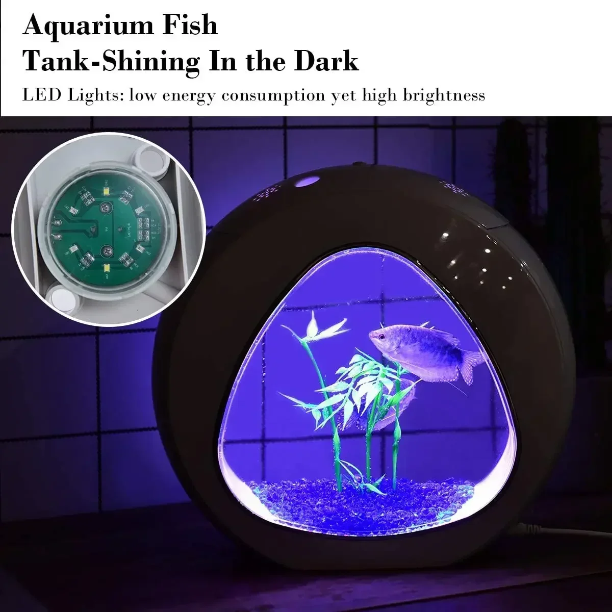 Acquario Betta, acquario con l - Planted Aquarium Bowl recensione e prezzo