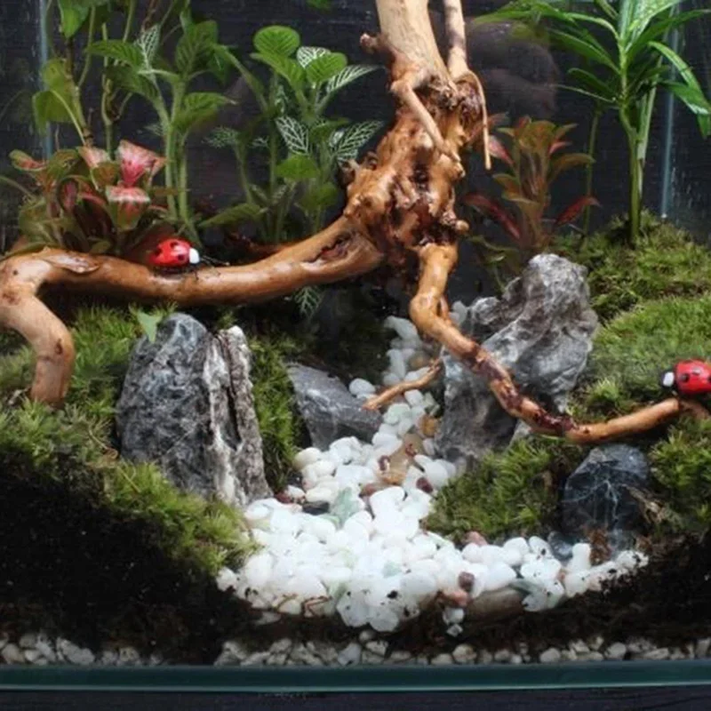Tronco d'albero naturale Drift - Aquarium Planted Soil recensione e prezzo