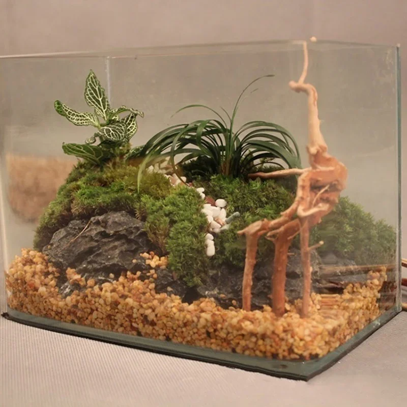 Tronco d'albero naturale Drift - Aquarium Planted Soil recensione e prezzo