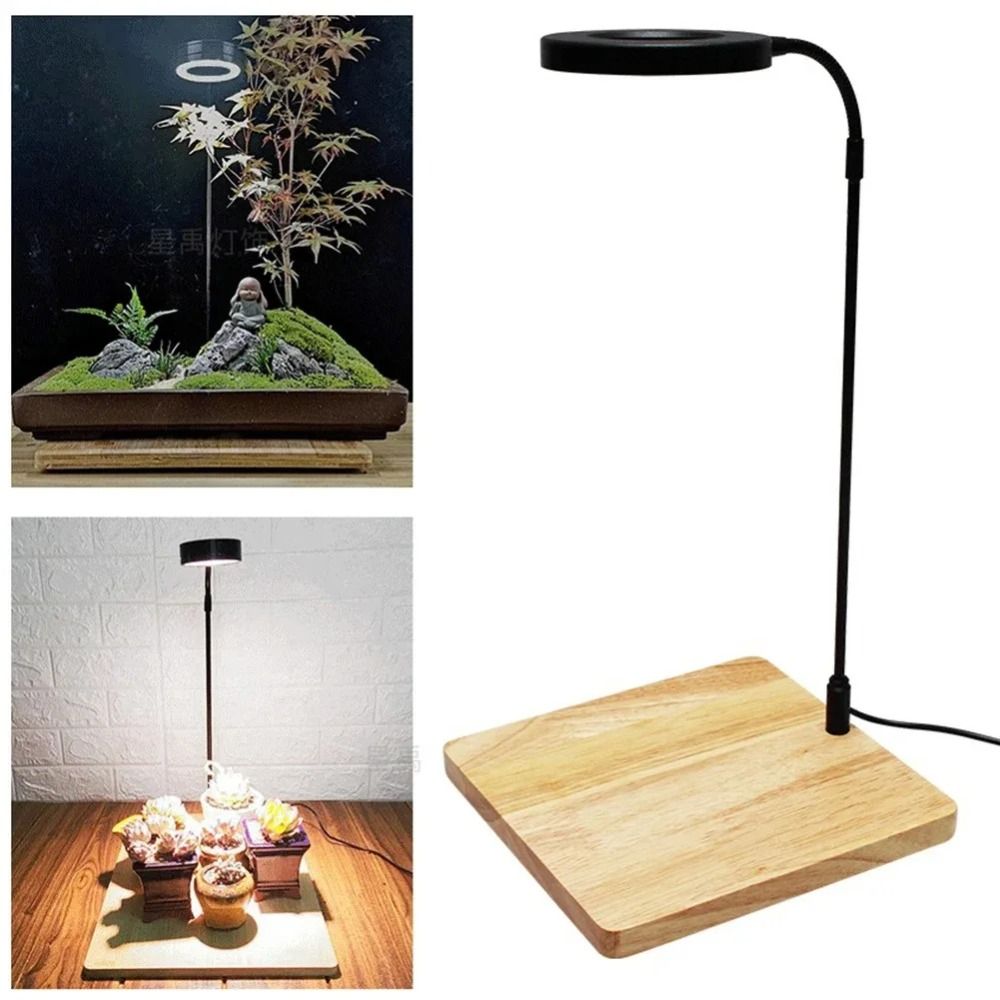 Lampada di riempimento per pia - Aquarium Plant On Wood recensione e prezzo