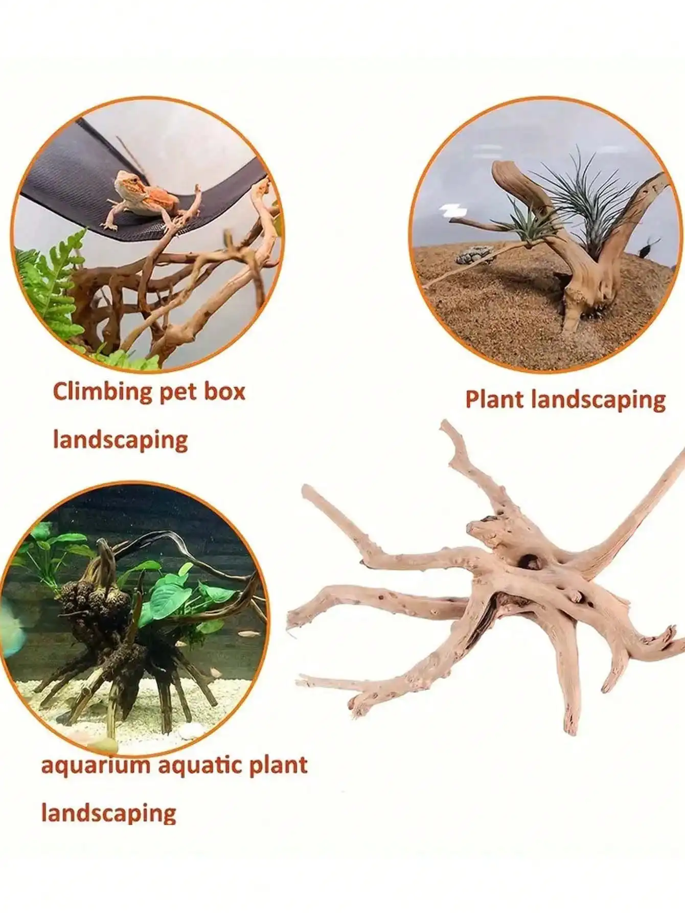 Nuovo Tronco d'Albero Naturale - Planted Aquarium With Driftwood recensione e prezzo