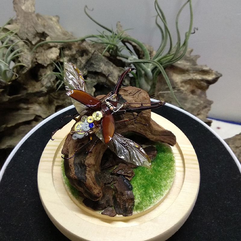 Nuova Decorazione per Acquario - Aquarium Planted Soil recensione e prezzo