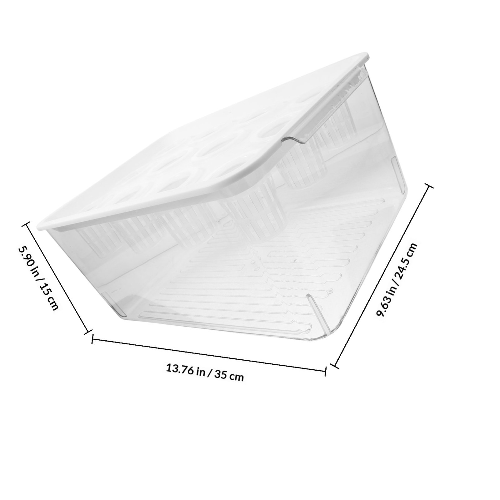 Set di Acquari Trasparenti Sen - Planted Aquarium Bowl recensione e prezzo