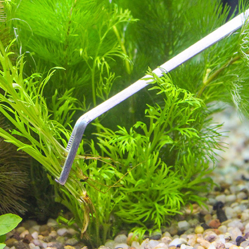 Kit di strumenti professionali - Planted Aquarium Maintenance Kit recensione e prezzo