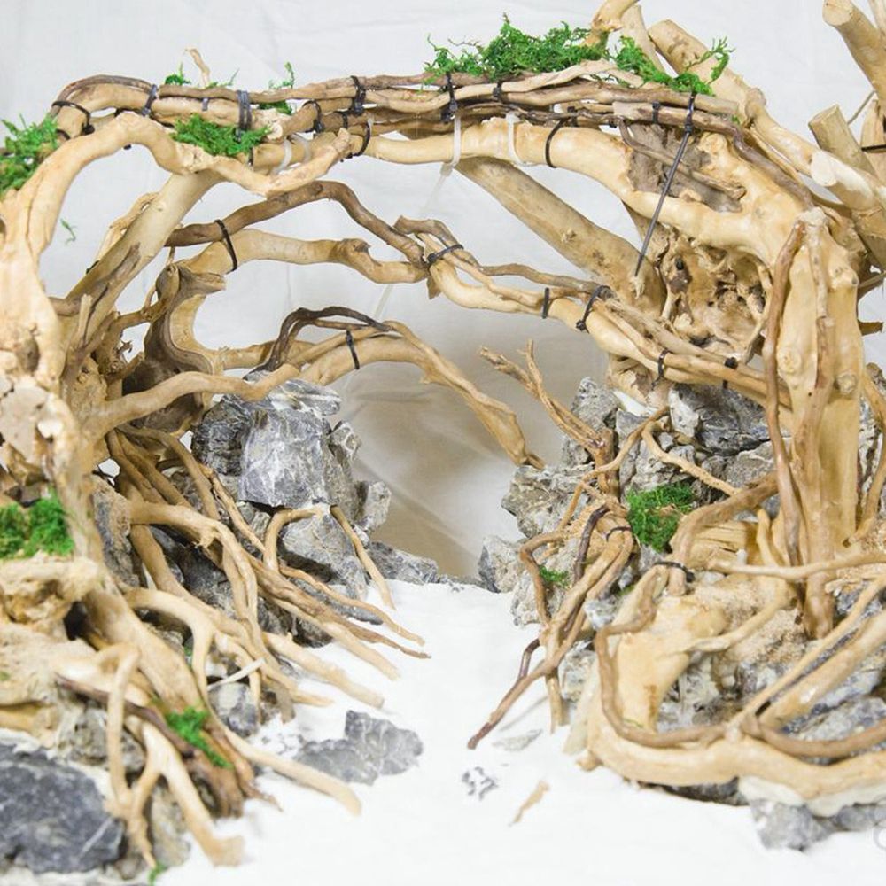 Legno N1N per Terrario Rettili - Planted Aquarium With Driftwood recensione e prezzo