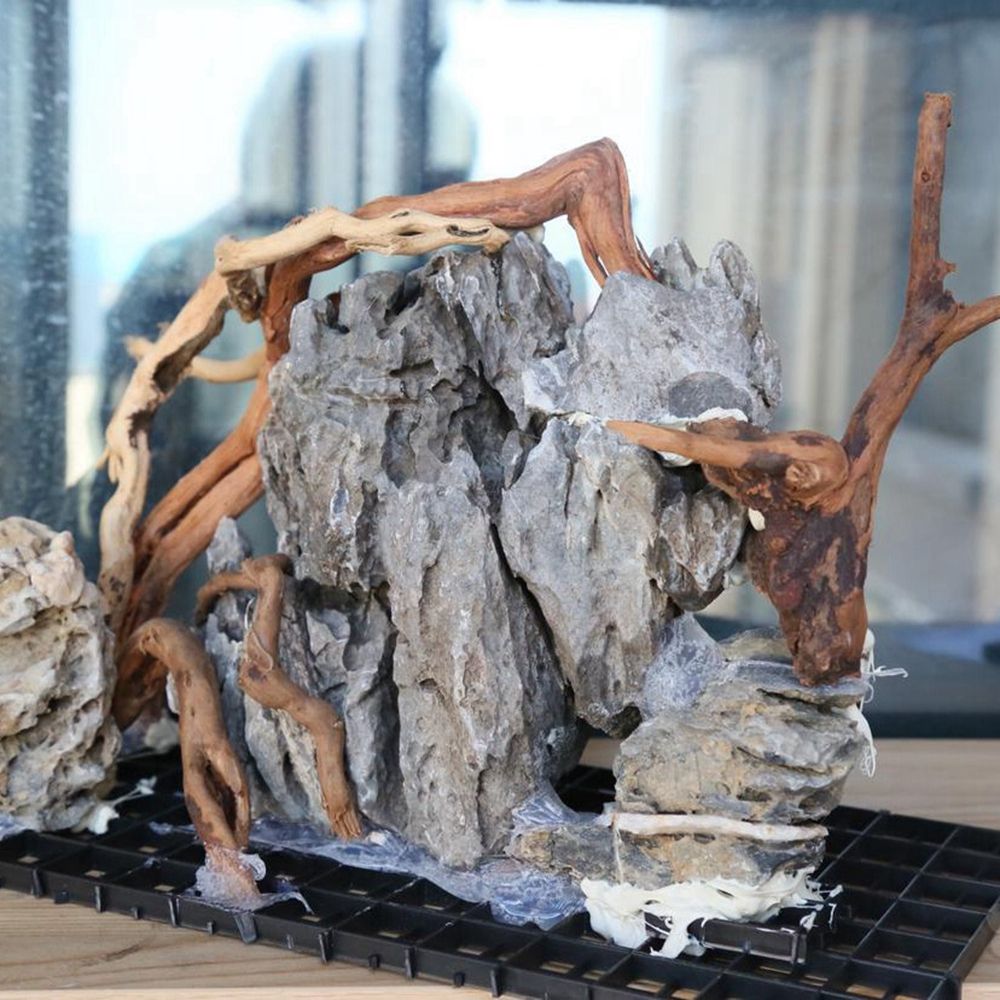 Legno N1N per Terrario Rettili - Planted Aquarium With Driftwood recensione e prezzo